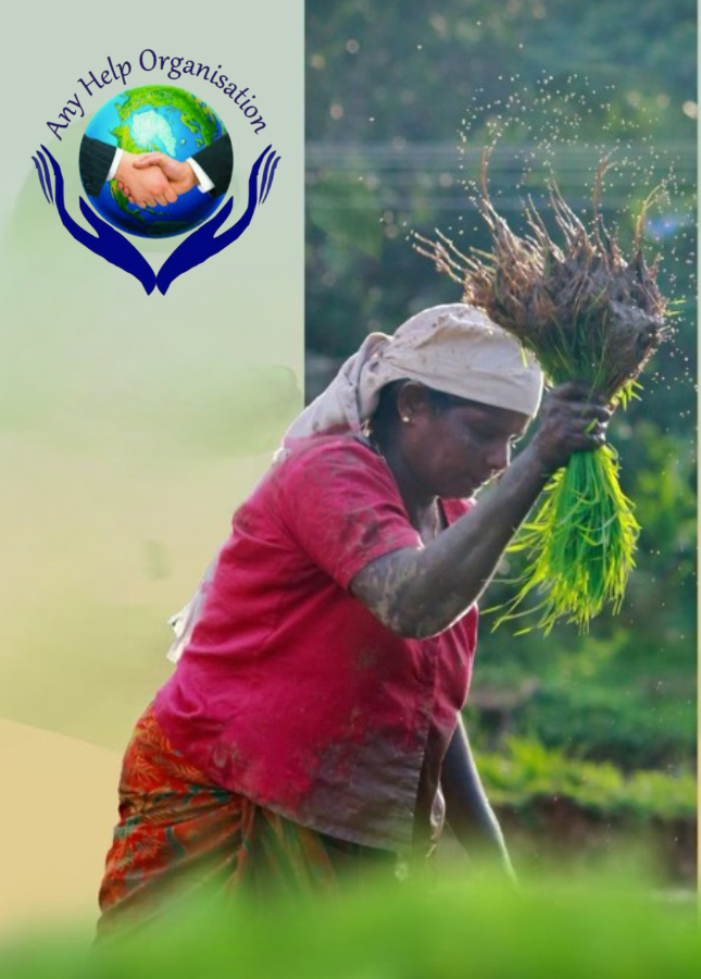 Empowering Grassroots